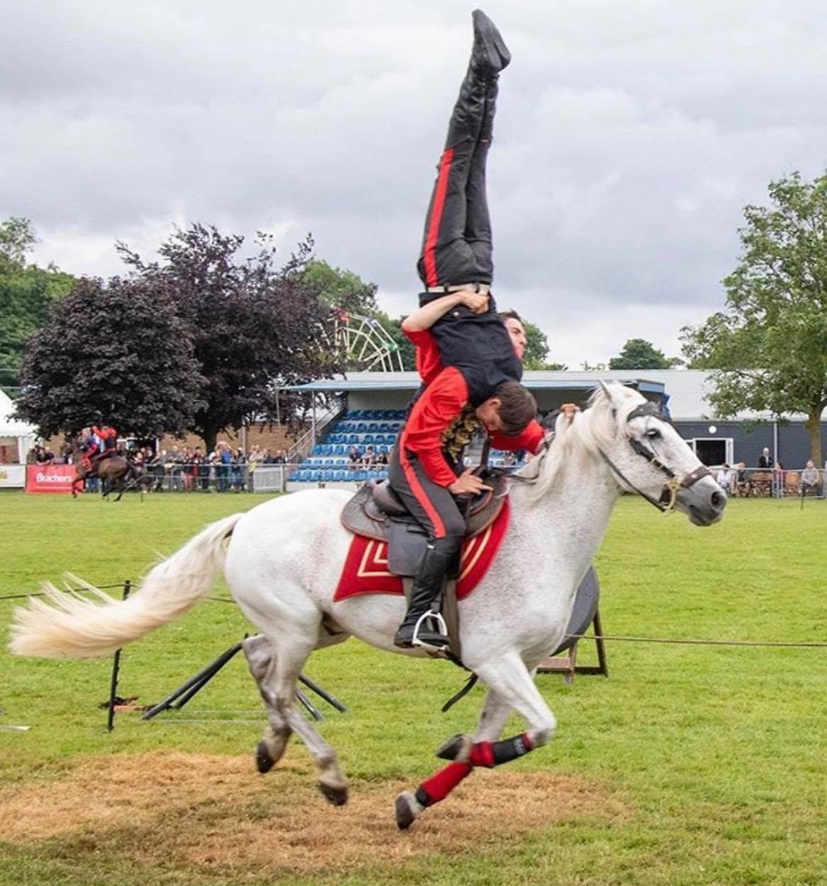 Horse Trick Riding - Hall Of Fame